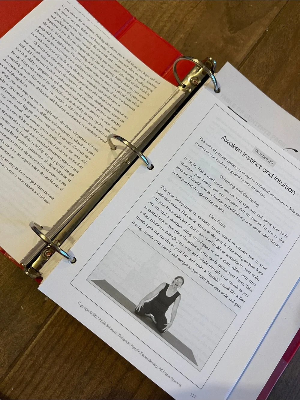 Yoga School Notes, Therapeutic Yoga, Trauma recovery, Anatomy, Asana Manual